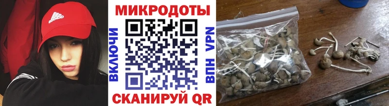 Купить где  Суоярви  Галлюциногенные грибы GOLDEN TEACHER 