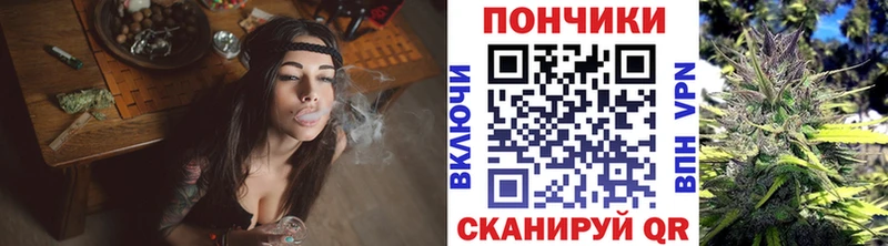 Купить закладки  Суоярви  Конопля сатива 